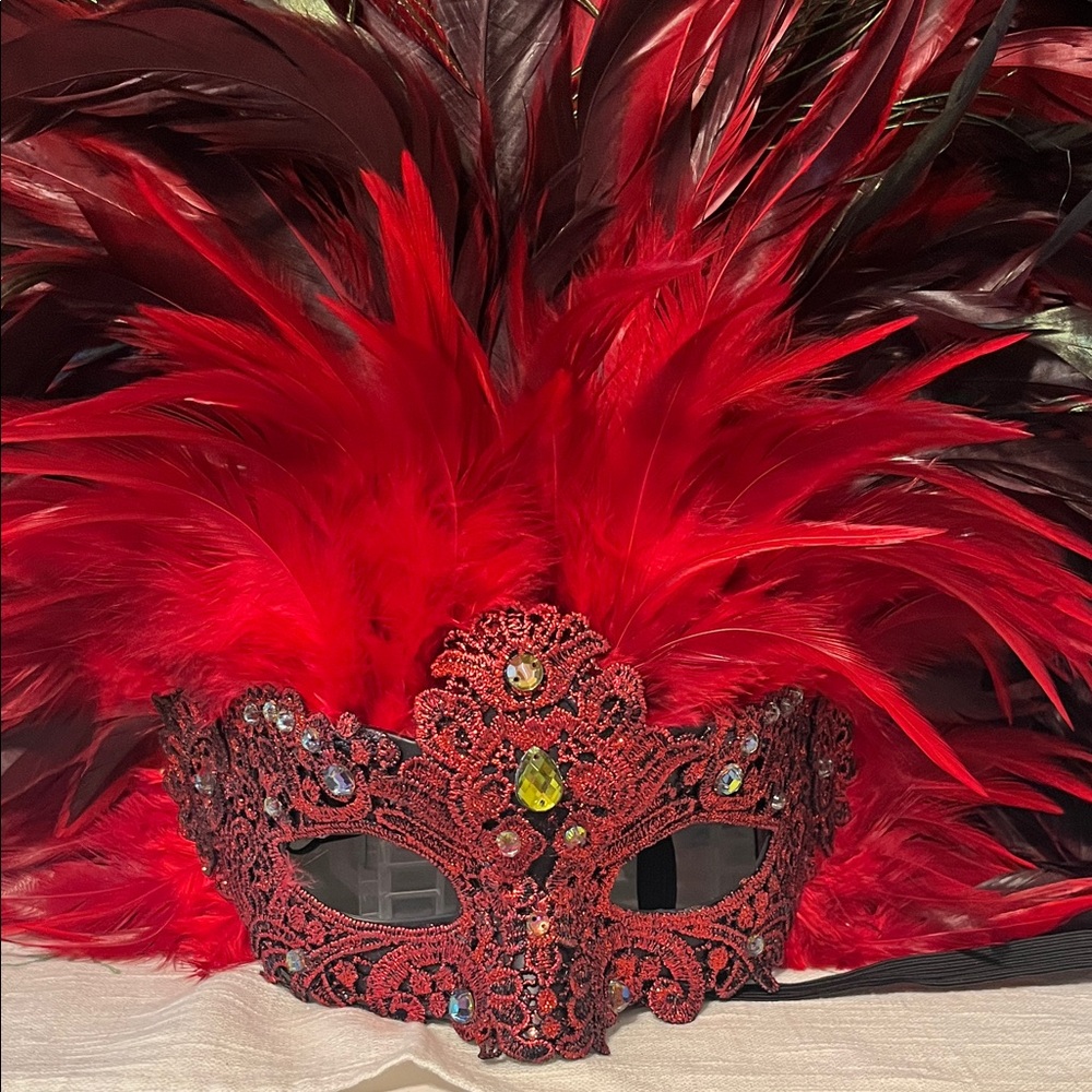 Red Feathered Masquerade Mask